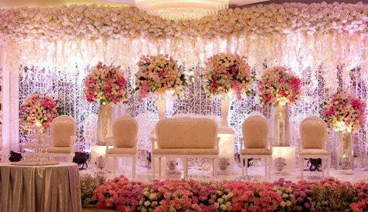 socialmediasteraming